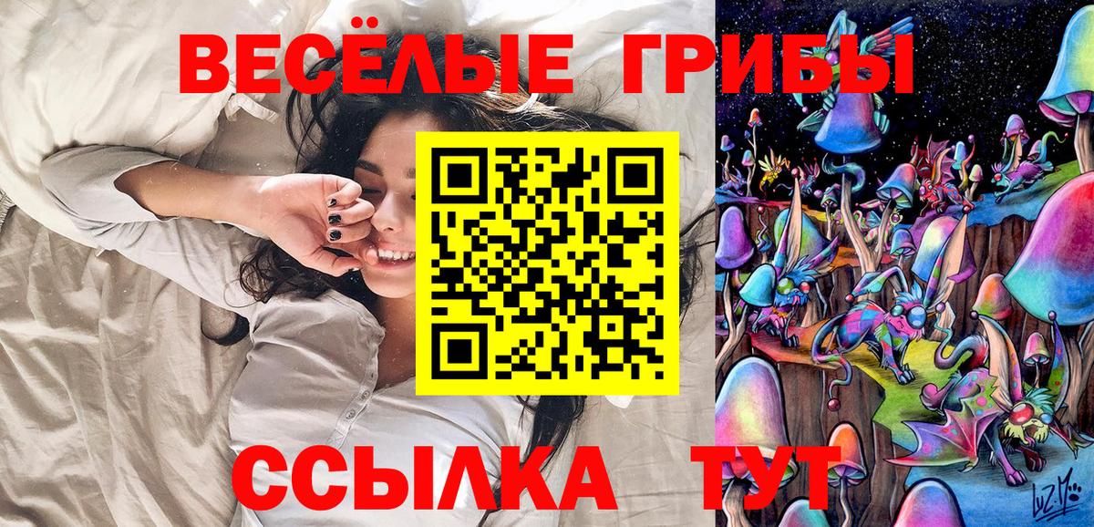 Соль-Илецк  Галлюциногенные грибы Psilocybe  Вход с VPN 